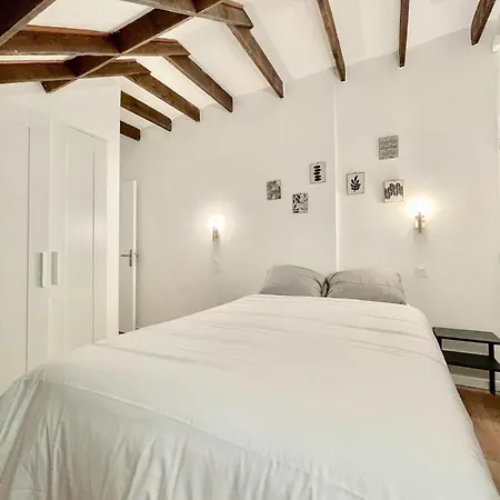 Bonne Graine : Parisien Branche A 10 Min De Bastille Apartament Paryż